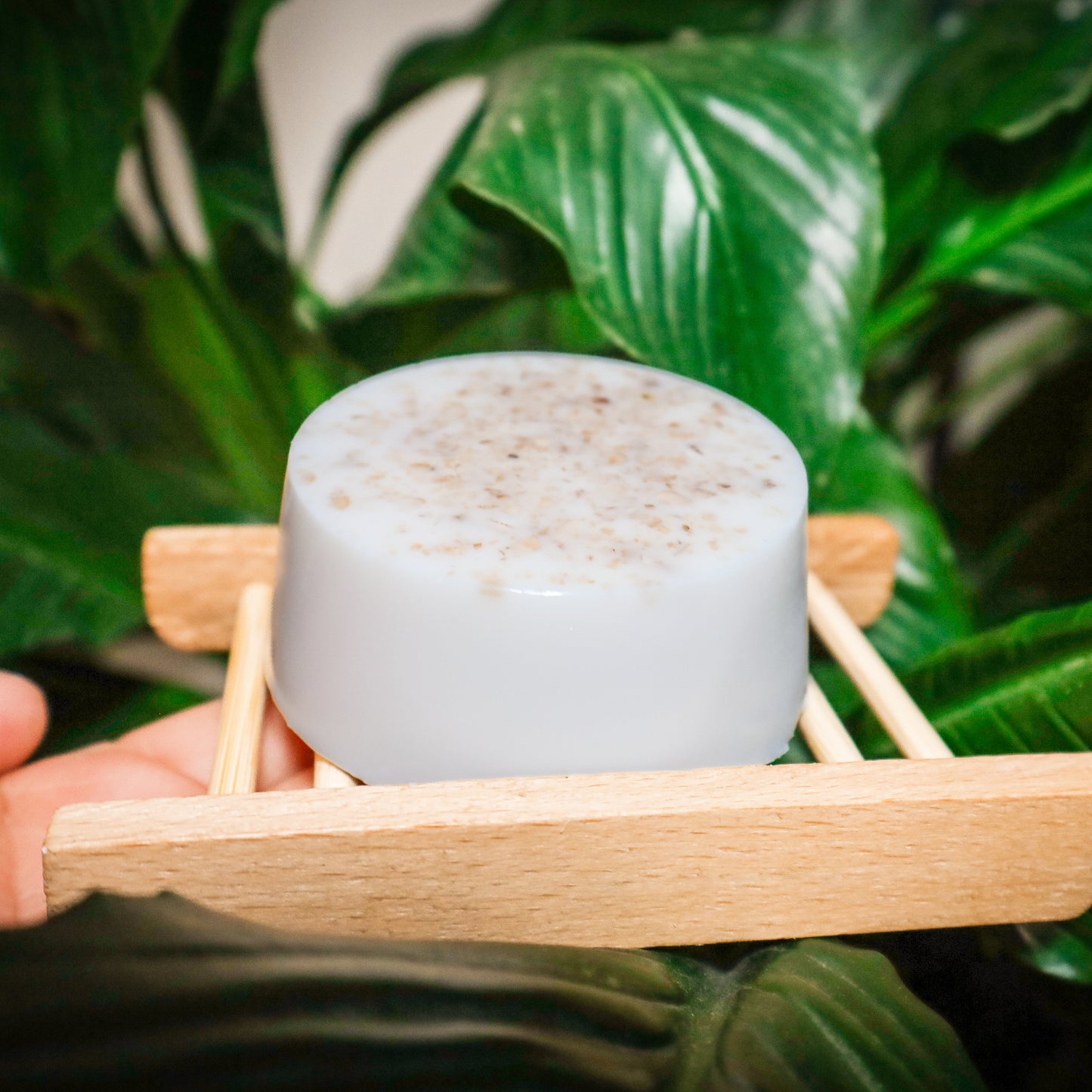 Jabón de Miel y Avena