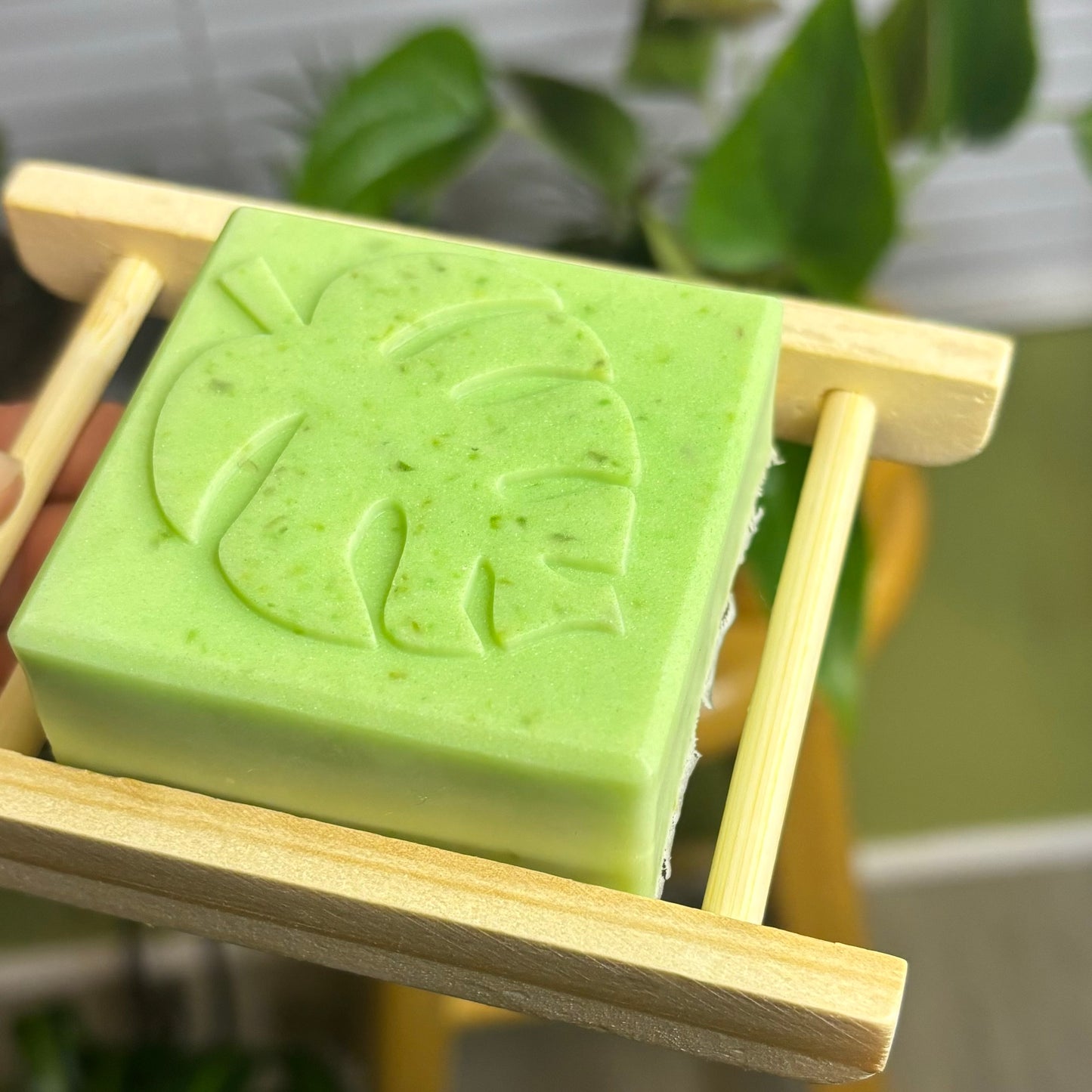 Aloe Vera Soap (bigger size)